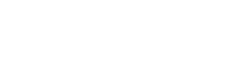AOM Air Charter